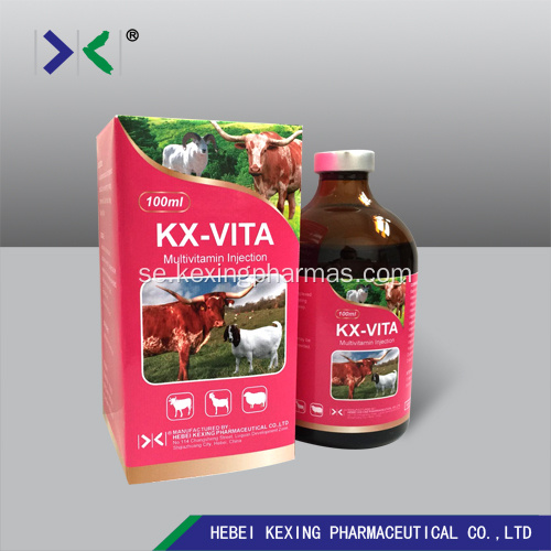 Vitamin B-komplexa injektionsdjur